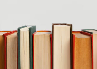 Resumen del libro El Valle de los Lobos
