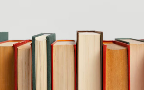Resumen del libro El Valle de los Lobos