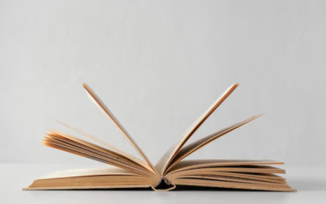 Resumen del libro Entre visillos