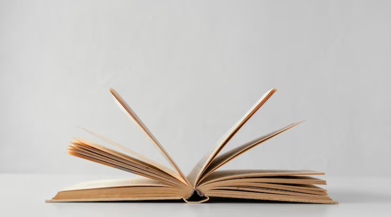 Resumen del libro Entre visillos